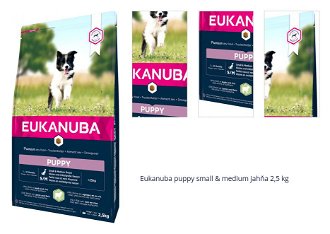Eukanuba puppy small & medium jahňa 2,5 kg 1
