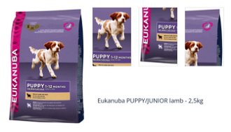 Eukanuba PUPPY/JUNIOR lamb - 2,5kg 1