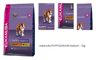 Eukanuba PUPPY/JUNIOR medium - 3kg 1