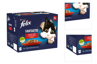 Felix Fantastic Multipack kuracie/hovädzie/králik/jahňacie v želé 24x85g 3