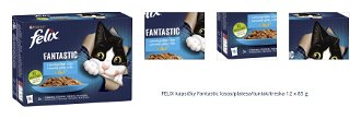 FELIX kapsičky Fantastic losos/platesa/tuniak/treska 12 x 85 g 1