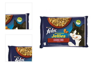 FELIX kapsičky Sensations Jellies hovädzie/kura želé 4 x 85 g 4