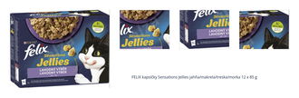 FELIX kapsičky Sensations Jellies jahňa/makrela/treska/morka 12 x 85 g 1