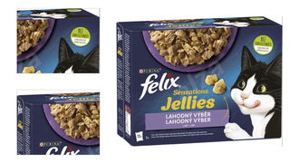 FELIX kapsičky Sensations Jellies jahňa/makrela/treska/morka 12 x 85 g 4