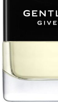 GIVENCHY Gentleman Givenchy toaletná voda pre mužov 60 ml 8