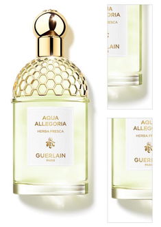 GUERLAIN Aqua Allegoria Herba Fresca toaletná voda plniteľná pre ženy 125 ml 3