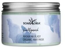 HealthyMask - regeneračná a vyživujúca maska na všetky typy vlasov