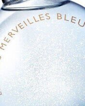 Hermes Eau Des Merveilles Bleue - EDT 50 ml 2