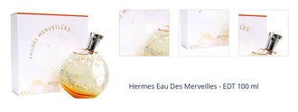 Hermes Eau Des Merveilles - EDT 100 ml 1