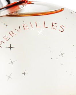 HERMÈS Eau des Merveilles toaletná voda pre ženy 30 ml 5