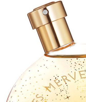 HERMÈS Elixir Des Merveilles parfumovaná voda pre ženy 100 ml 6