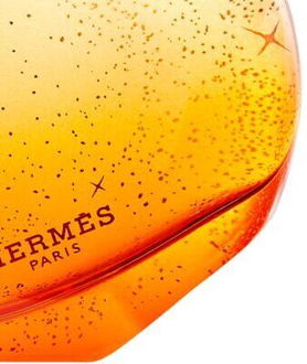 HERMÈS Elixir Des Merveilles parfumovaná voda pre ženy 100 ml 9