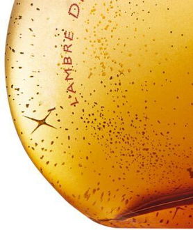 HERMÈS L'Ambre des Merveilles parfumovaná voda pre ženy 100 ml 8