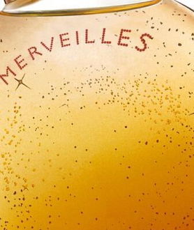 HERMÈS L'Ambre des Merveilles parfumovaná voda pre ženy 100 ml 5