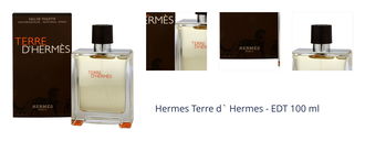 Hermes Terre d` Hermes - EDT 100 ml 1