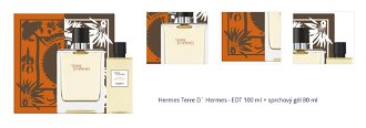 Hermes Terre D` Hermes - EDT 100 ml + sprchový gél 80 ml 1