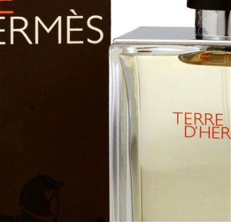 Hermes Terre d` Hermes - EDT 200 ml 5