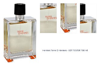 Hermes Terre D Hermes - EDT TESTER 100 ml 1