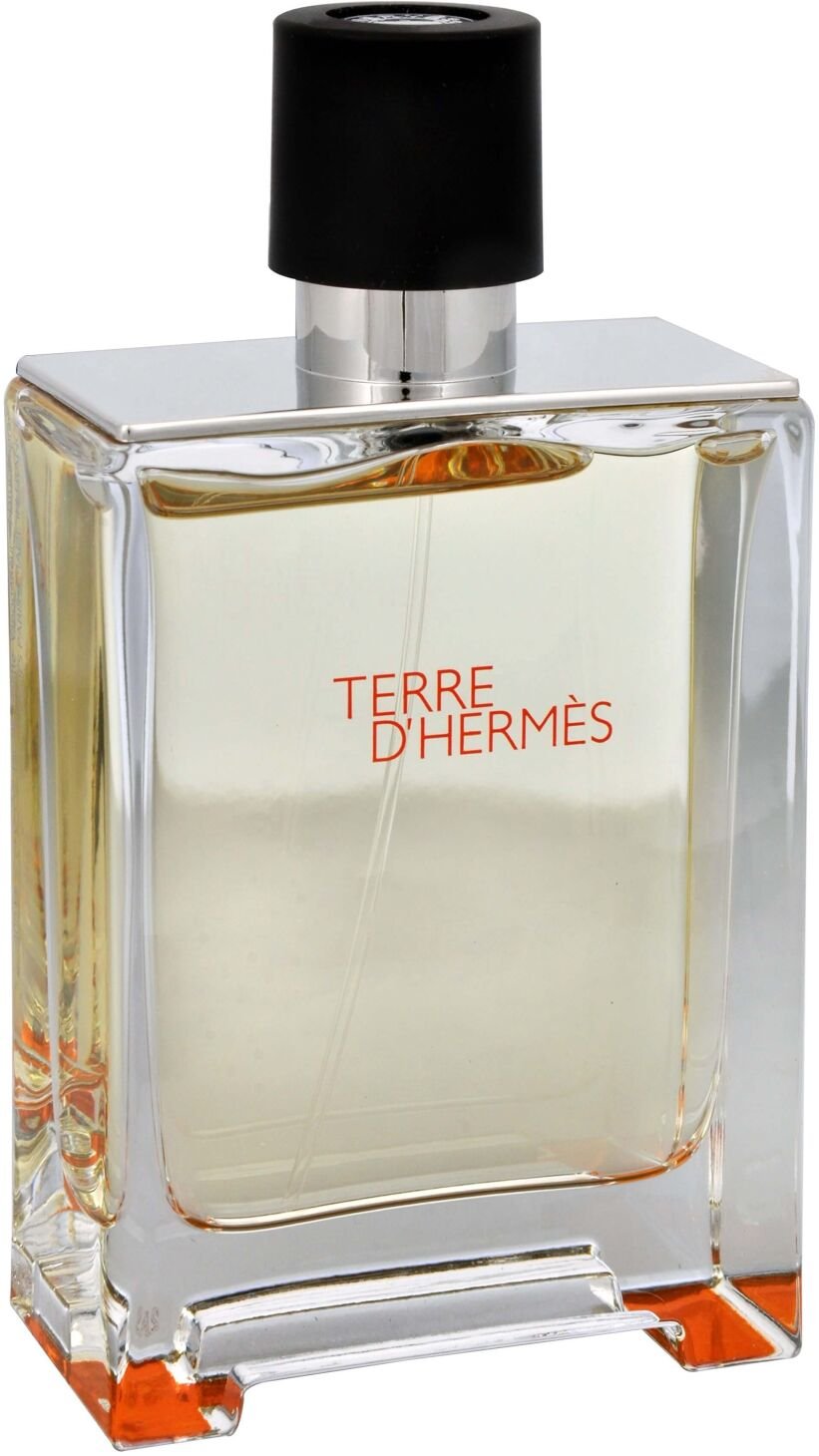 Hermes Terre D Hermes - EDT TESTER 100 ml