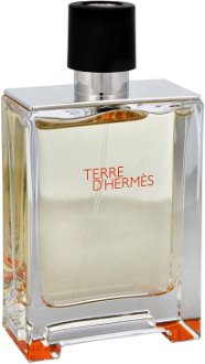Hermes Terre D Hermes - EDT TESTER 100 ml