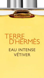 HERMÈS Terre d’Hermès Eau Intense Vétiver parfumovaná voda pre mužov 50 ml 5