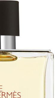 HERMÈS Terre d’Hermès toaletná voda pre mužov 100 ml 7