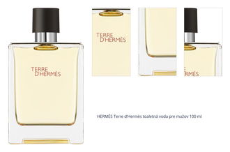 HERMÈS Terre d’Hermès toaletná voda pre mužov 100 ml 1