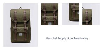 Herschel Supply Little America Ivy 1