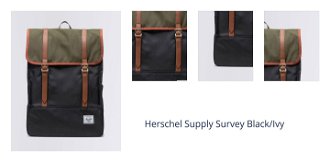 Herschel Supply Survey Black/Ivy 1