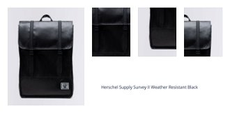 Herschel Supply Survey II Weather Resistant Black 1