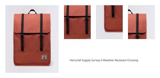 Herschel Supply Survey II Weather Resistant Chutney 1