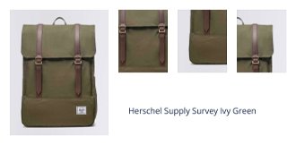 Herschel Supply Survey Ivy Green 1