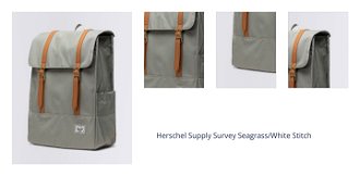 Herschel Supply Survey Seagrass/White Stitch 1