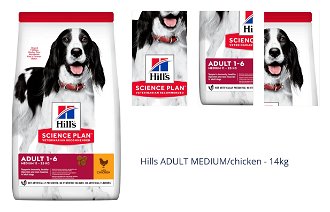 Hills ADULT MEDIUM/chicken - 14kg 1