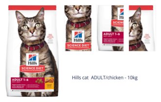 Hills cat  ADULT/chicken - 10kg 1