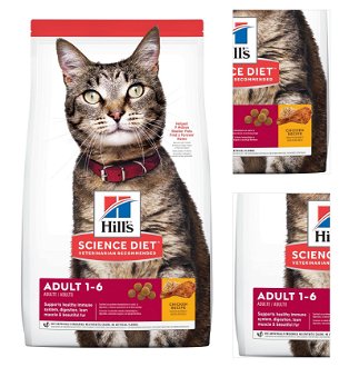 Hills cat  ADULT/chicken - 10kg 3
