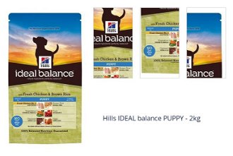 Hills IDEAL balance PUPPY - 2kg 1