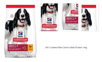 Hill´s Science Plan Canine Adult Chicken 14kg 1