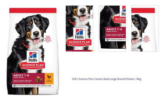 Hill´s Science Plan Canine Adult Large Breed Chicken 18kg 1