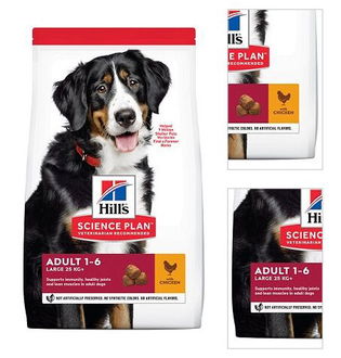 Hill´s Science Plan Canine Adult Large Breed Chicken 18kg 3