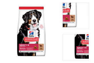 Hill´s Science Plan Canine Adult Large Breed Lamb & Rice 14kg 3