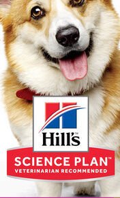 Hill´s Science Plan Canine Adult Small & Mini Lamb & Rice 6kg 5