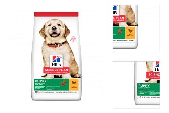 Hill´s Science Plan Canine Puppy Large Breed Chicken 14,5kg 3