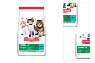 Hill´s Science Plan Feline Kitten Tuna 7kg 3