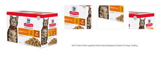 Hill´s Science Plan kapsička Feline Adult Multipack Chicken & Turkey 12x85 g 1