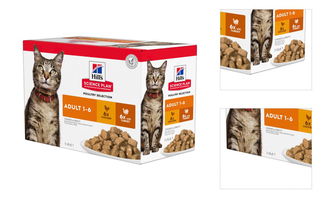 Hill´s Science Plan kapsička Feline Adult Multipack Chicken & Turkey 12x85 g 3