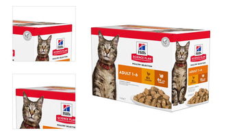 Hill´s Science Plan kapsička Feline Adult Multipack Chicken & Turkey 12x85 g 4