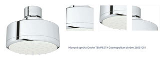 Hlavová sprcha Grohe TEMPESTA Cosmopolitan chróm 26051001 1