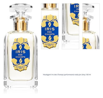 Houbigant Iris des Champs parfumovaná voda pre ženy 100 ml 1