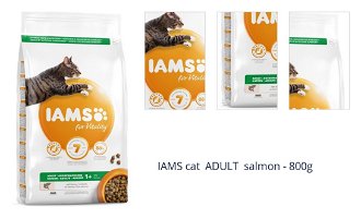IAMS cat  ADULT  salmon - 800g 1